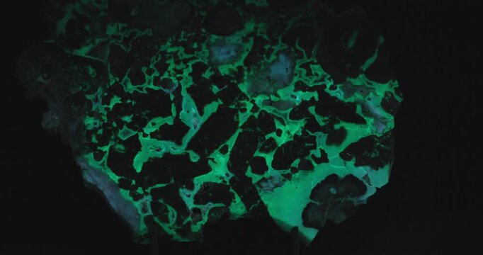 Brecciated Jasper in Chalcedony Under a UV Light