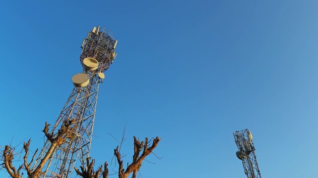 Slow orbit shot of tall mobile communication towers rising above pruned trees against a clear blue sky, capturing modern connectivity infrastructure in a quiet rural landscape with calm, minimal compo