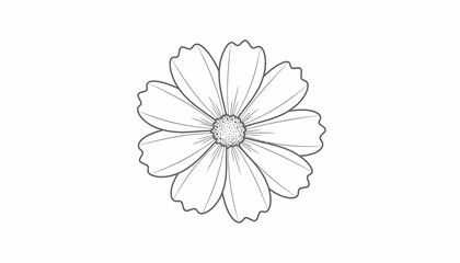 Hand-Drawn Cosmos Flower Sketch, Black and White Outline Illustration