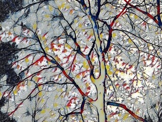  Winter tree with no foliage