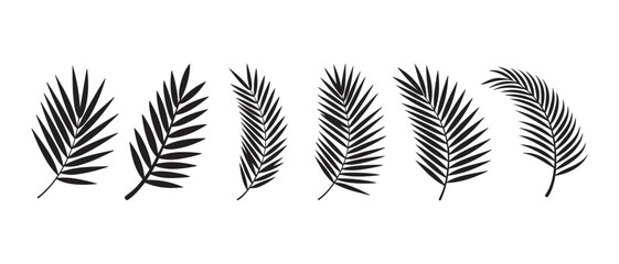 Black silhouettes of various palm leaves isolated on a white background for design. © CreatetiveDesignX