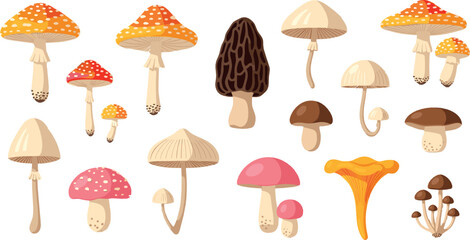 Wild Forest Mushroom Collection with Amanita, Morel and Chanterelle Hand Drawn Style Botanical Flat Vector Illustration Set © Yevhenii creative