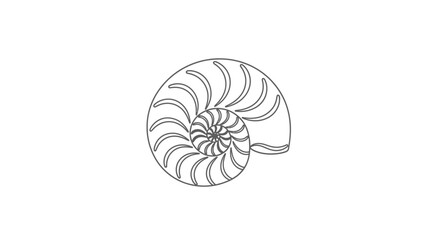 Nautilus Shell Spiral - Fibonacci Sequence, Golden Ratio, Nature's Geometry