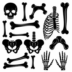 vector illustration set of bone silhouettes