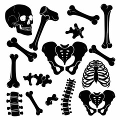 vector illustration set of bone silhouettes on white background