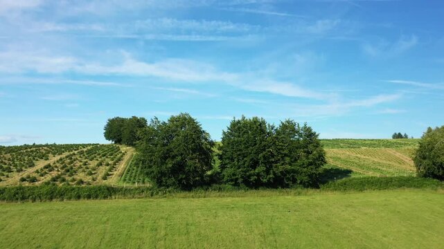 Expansive green fields and scattered trees stretch across the rural landscape of the Morvan region under a clear blue sky. Serene and natural agricultural scenery ideal for nature and countryside