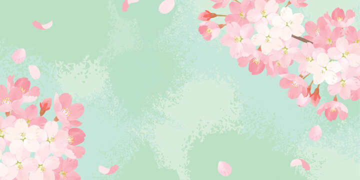 桜　水彩背景イラスト