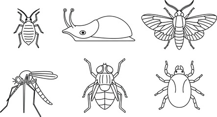 Collection of insect and pest line art icons simple vector illustrations for nature and science concepts isolated on white background © Zohaib
