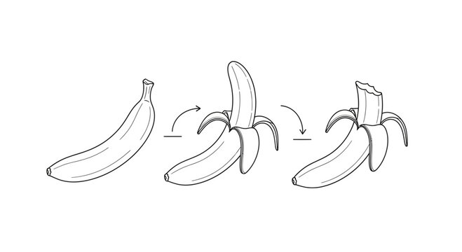 Banana peeling process illustration, step by step, isolated on white background