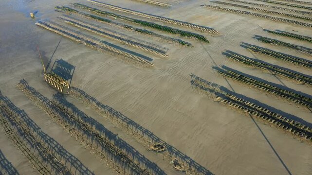 Aerial view of oyster farming racks exposed at low tide on the sandy shore of Utah Beach, Normandy, France. Rows of structures create geometric patterns in the coastal landscape.