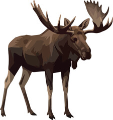 Obraz premium Brown Moose Isolated Object With Large Antlers On White Background