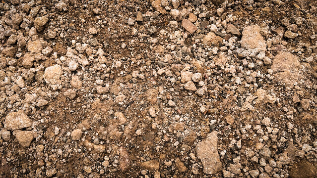 Detailed close-up of a textured natural ground surface, featuring an abundance of brown earth and loose gravel