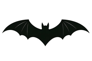 Fototapeta premium Bat