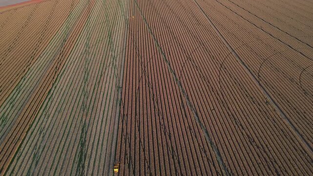 Drone shot of expansive farmland with parallel crop lines and irrigation patterns from above.