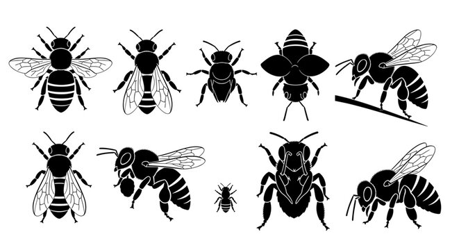 Collection of various bee silhouettes and insects