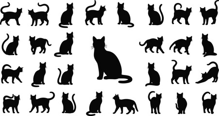 Black cat silhouettes in various poses, walking, sitting, stretching, standing, feline collection, isolated animal icons, pets vector graphics, kitty shapes. © MostMonira