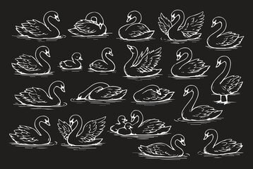 Elegant white swan silhouettes on black background, graceful bird sketches and romantic swan couple illustrations for logo, branding, and decorative art.