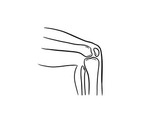 Fototapeta premium knee joint digital illustration drawing isolated