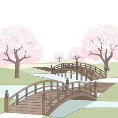 An illustration of two traditional wooden bridges crossing a gentle stream in a serene park with blooming cherry blossom trees.