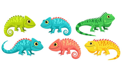 Colorful cartoon chameleon and iguana lizard character icons flat vector set isolated on white background © Lupna