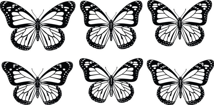Black and white butterfly silhouette collection featuring monarch and swallowtail wing patterns isolated on white background cad drawing flat vector illustration