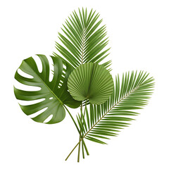 Set of tropical green palm leaves including monstera and fan palm isolated on white background
