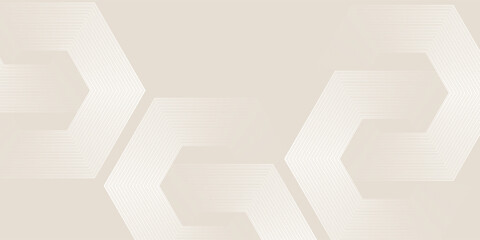 Fototapeta premium Abstract background with glowing white geometric line design. Modern glossy white hexagon line pattern for covers, posters, banners, presentations, and certificates.