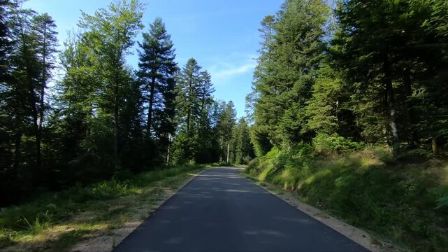 Peaceful paved road winding through lush green forest in the Morvan region of France on a sunny summer day.