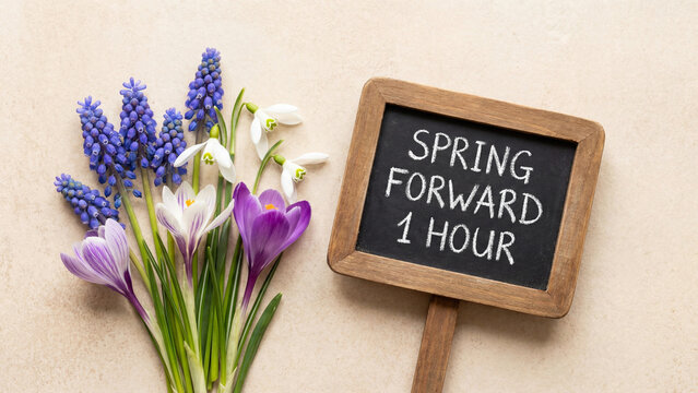 Spring Forward 1 Hour daylight saving time reminder chalk text on wooden framed chalkboard sign beside fresh crocus snowdrop and hyacinth spring flowers for seasonal time change