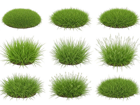 Collection of nine green grass clumps on white background isolated on white background