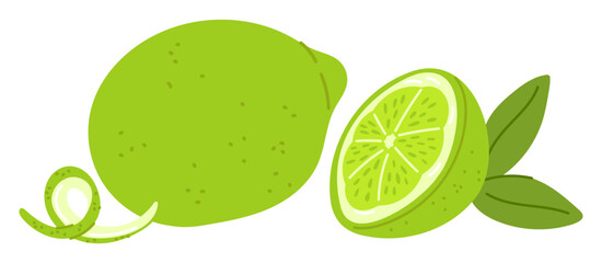Green lime. Whole fruits and halves of citrus fruit segments. Natural cooking ingredient. Sour taste juice. Healthy vitamin food. Zest and pieces. Ripe harvest. Vector isolated element