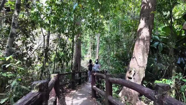 Wooden bridge walkway through the tropical jungle leading to the Emerald Pool water park in Krabi Thailand
