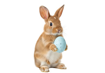 Obraz premium A cute brown bunny holding a blue easter egg against a white background.