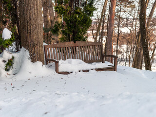 wooden bench  in frosty park