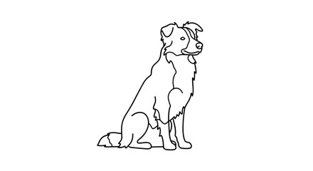 Line Art Illustration of a Sitting Border Collie Dog