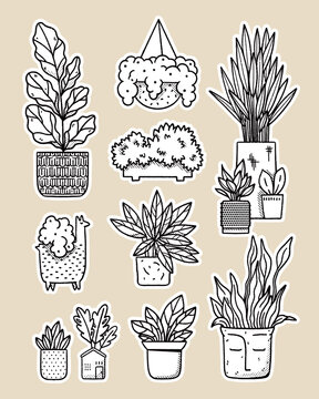 Indie Botanical Sticker Pack
