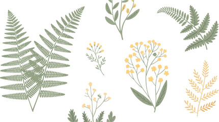Botanical fern and wild herb elements vector illustration set featuring delicate leaves and flowers isolated on white for nature designs © Creative design