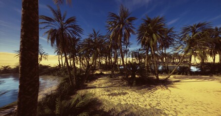 Obraz premium ancient oasis silhouette at twilight, palms clustering around slow lagoon, grainy sand textures and deep blue sky create mysterious atmosphere for storytelling