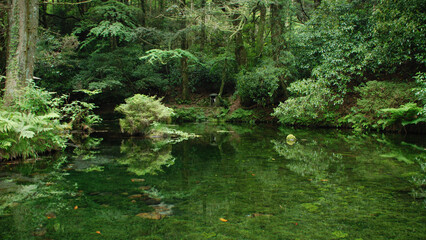 池山水源、熊本県