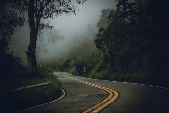 Foggy Curve on BR-495 Between Itaipava and Teres&oacute;polis - Rio de Janeiro State, Brazil