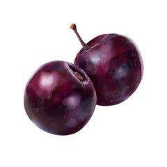 Obraz premium Plum Fruits on Transparent Background – Dark Purple Glossy Fruit Pair for Food Packaging and Healthy Eating Graphics