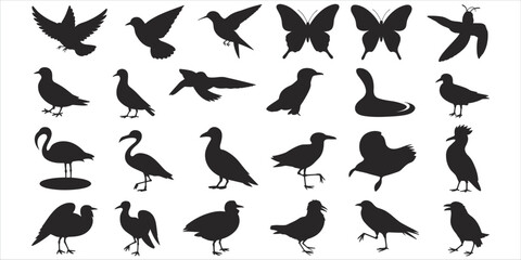 Collection of Bird and Butterfly Silhouettes in Various Poses on White Background pigeon dove © rayhan039