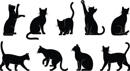 Eight black cat silhouettes in different playful and resting poses on white background animal feline © rayhan039