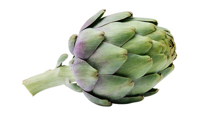 Obraz premium Fresh Green Globe Artichoke on White – High-Resolution 8K Studio Photography