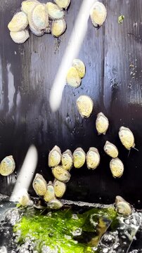 Vertical. South African abalone glide along black plastic to get back to water