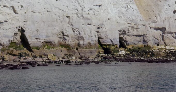 wide shot of the white cliffs of Dover at sapphire hoe Country Park sea