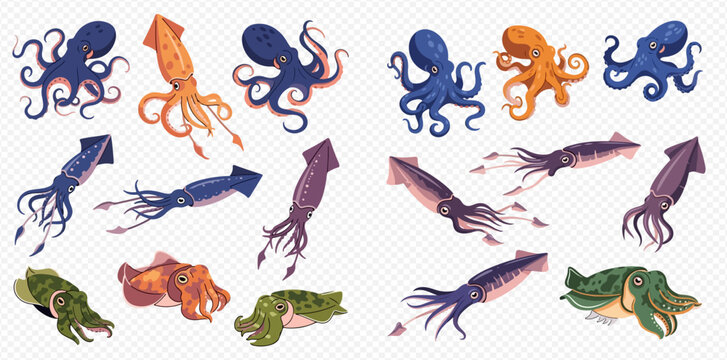 Collection of various marine cephalopods including octopuses, squids, and cuttlefish in different colors and poses, isolated on a transparent background.
