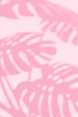 Soft shadow of monstera leaves on a pink background. Minimal tropical aesthetic for natural skincare, summer design, wellness, or organic product presentation. Beauty tone, copy space. © Iana Kunitsa