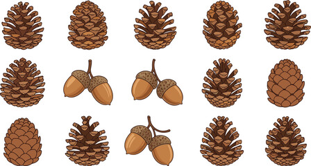 Autumn pine cone illustration, acorn artwork design, seasonal nature vector, botanical fall elements, forest foliage drawing, natural pattern concept © Md