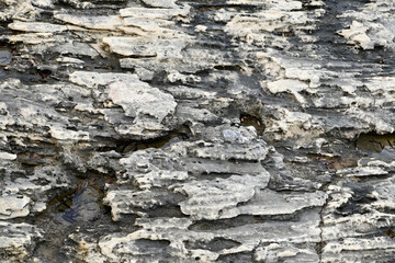 Obraz premium Extreme close-up of dark, weathered coastal rock with deep horizontal erosion patterns and pools of water. A high-contrast natural abstract of ancient geological formations on a rugged shoreline.